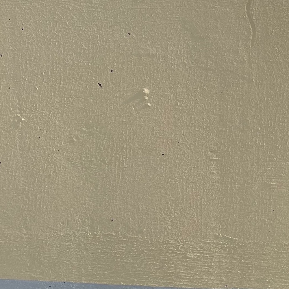 Meet your Posher, Riley